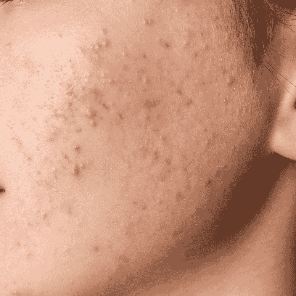 Add a subheading - 2025-12-22T230131.801